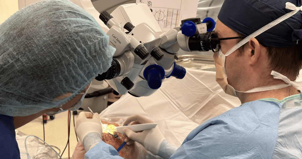 Cataract Surgery​